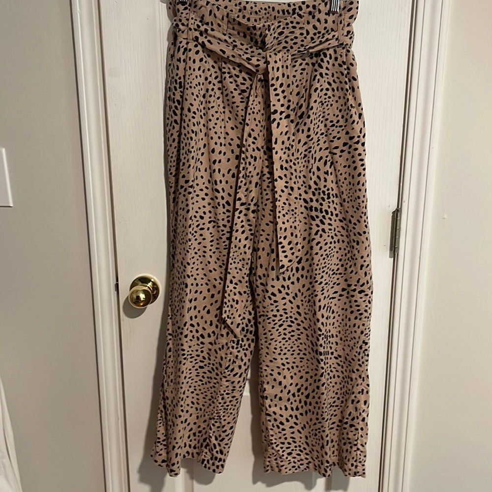 The Limited Wide Legged Pants
